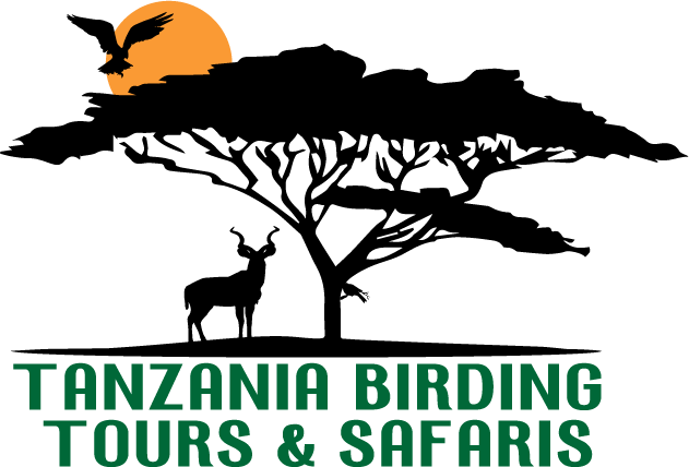 TANZANIA BIRDING TOURS & SAFARIS